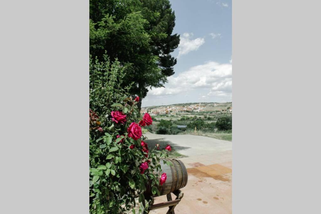 Casa Cueva Piena, Alcudia De Guadix Villa Ngoại thất bức ảnh